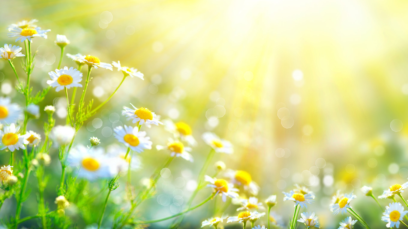 Naturheilverfahren in der Kinderarztpraxis